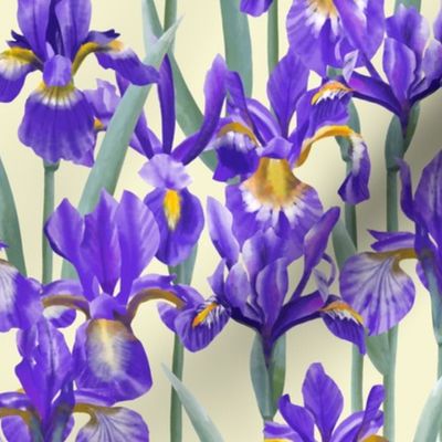 Watercolor Blue Irises