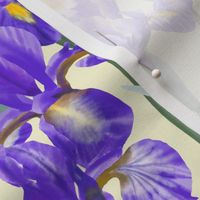 Watercolor Blue Irises