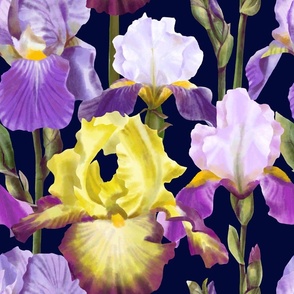 Yellow and Purple Irises