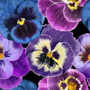Dark Floral Black Maximalist Blue Purple Pansies Moody Garden JUMBO size 