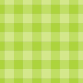 Plaid_Lime-AED43D-Honeydew-D4E88B