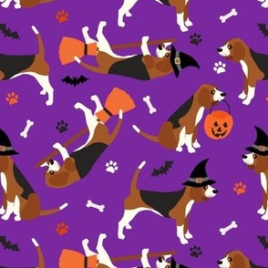 Beagle Halloween Purple