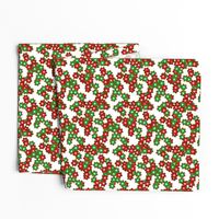 Groovy Mod Boho Red and Green Christmas Flowers
