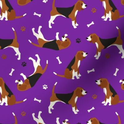 Beagles Bones and Paws Purple
