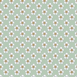 White Flowers on a Sage Background Medium Size