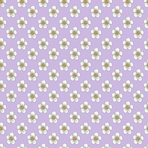 White Flowers on a Lavender Background Medium Scale