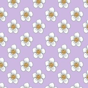 White Flowers on a Lavender Background