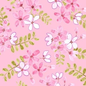 Fragrent Summer Blooms - Watercolor Cassia on Pink