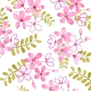 Fragrent Summer Blooms - Watercolor Cassia Flowers on White