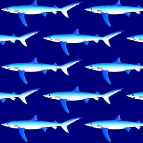 Blue Shark drk blue lg