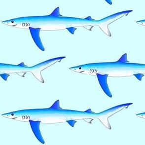 Blue Shark v21 lt blue lg