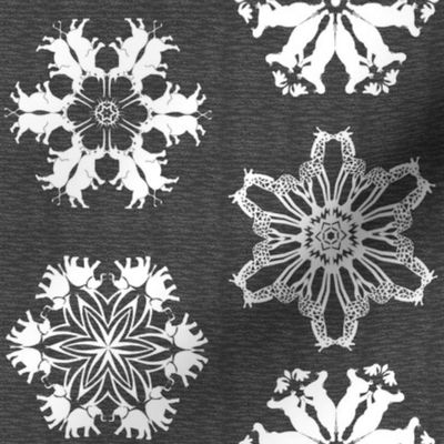 African Rhino Hippo Elephant and Giraffe Snowflakes on Visually Textured Gray