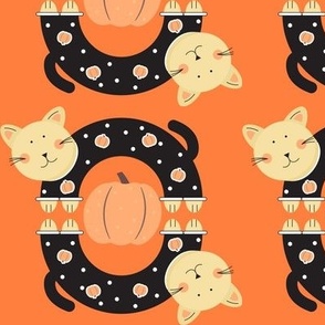 cat with pumpkins and orange background