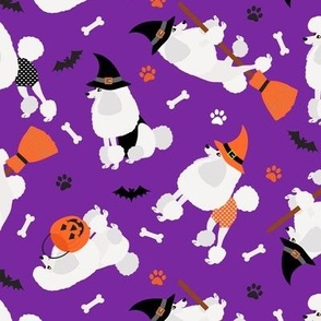 Poodle Halloween Purple