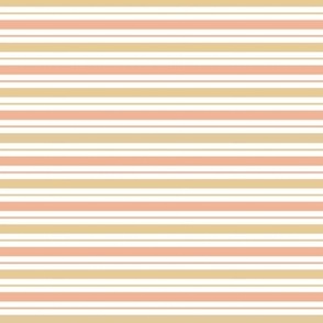 Apricot Tan Stripes EXTRA SMALL scale
