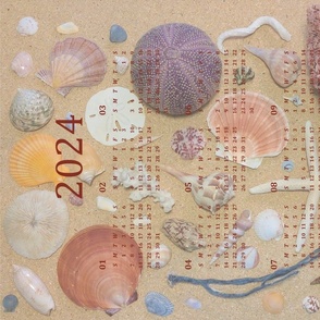 Calendar - Seashells
