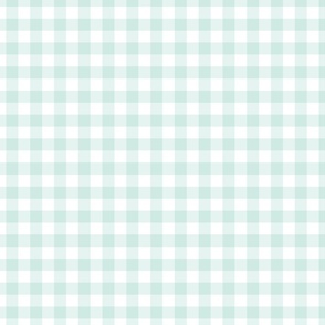 check gingham Mint Green gingham