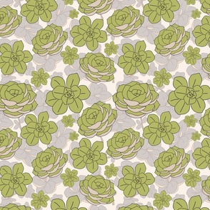 Echeveria succulent print design