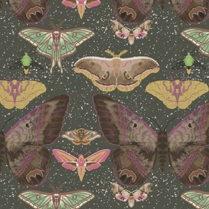 moths #2