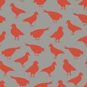 Orange Pigeons