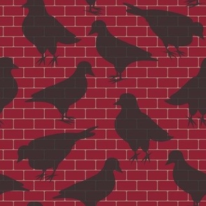 Red Brick Pigeons