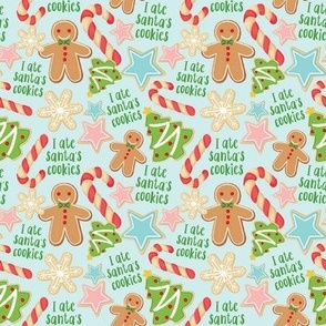 I Ate Santa's Cookies - Light Blue, Small Scale