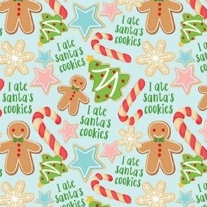I Ate Santa's Cookies - Blue, Small Scale