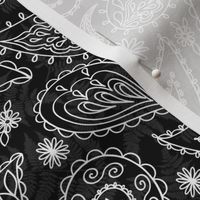 Paisleys White on Black Texture