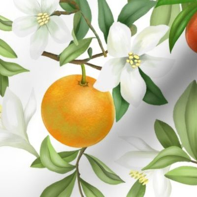 Orange Grove - Pure