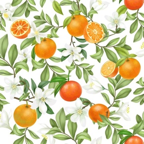 Orange Grove Fabric, Wallpaper and Home Decor | Spoonflower