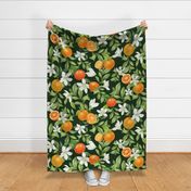 Orange Grove - Evergreen Large Print