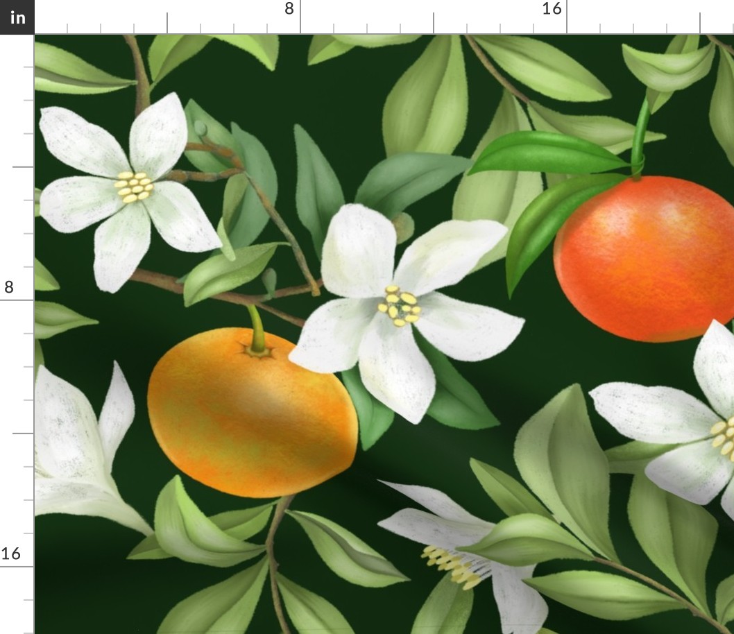Orange Grove - Evergreen Large Print