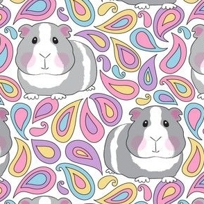 large guinea pigs with paisleys on white