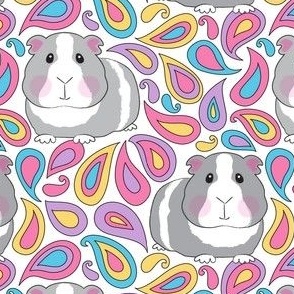 large guinea pigs with bright paisleys on white