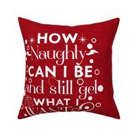 18x18 Square Panel for Cushion or Pillow How Naughty Can I Be and Still Get What I Want Holiday Christmas Humor on Red