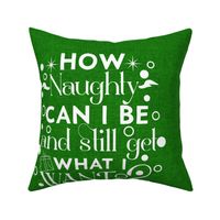 18x18 Square Panel for Cushion or Pillow How Naughty Can I Be and Still Get What I Want Holiday Christmas Humor on Green