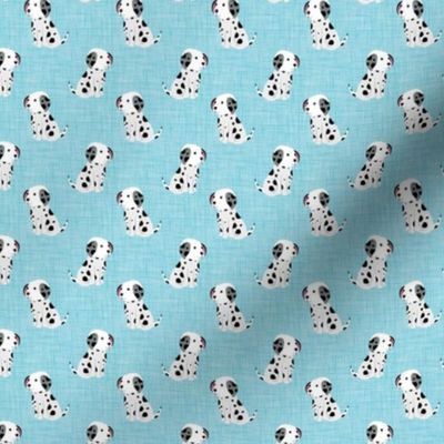 Small Scale Black and White Dalmation Puppy Dogs on Blue