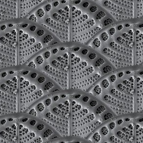 Diatom Mosaic 