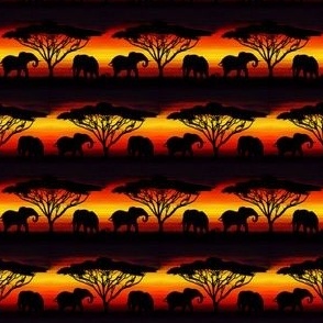 Sunset elephant sunset TINY