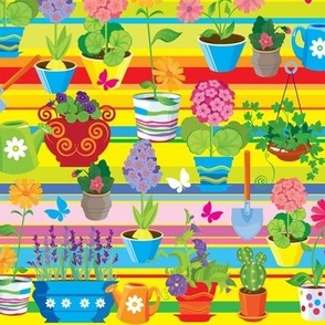 Flowers in Pots Bright Colors