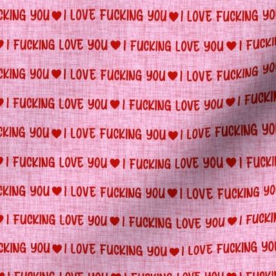 Small Scale I Fucking Love You Adult Sarcastic Sweary Humor Valentine Hearts Red on Pink