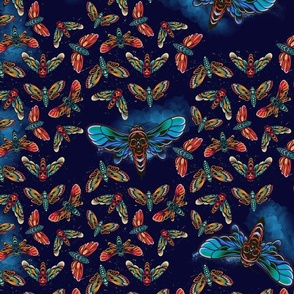 Moths 