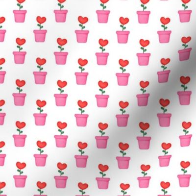 Small Scale Valentine Heart Potted Plants Red Pink and White