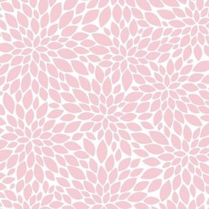 Dahlia Blossom Pattern - Pink Blush and White