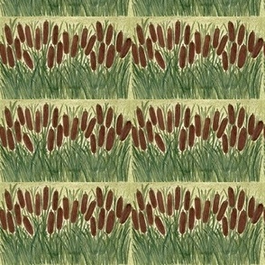 cattails on green hand-painted watercolor pencil