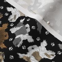 Tiny Trotting assorted Tibetan Terriers and paw prints - black