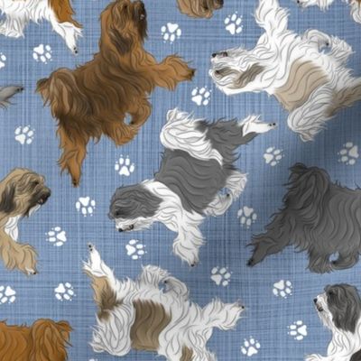 Trotting assorted Tibetan Terriers and paw prints - faux denim