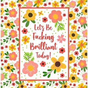 14x18 Panel Let's Be Fucking Brilliant Today Motivational Sweary for DIY Garden Flag Small Wall Hanging or Hand Towel