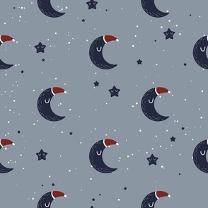 Christmas Moon pattern