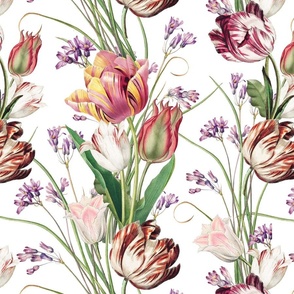 gorgeous tulips,vintage illustrations